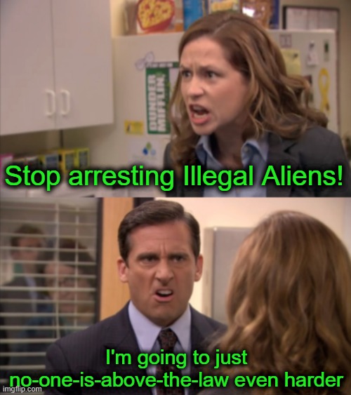 Pam and Michael | Stop arresting Illegal Aliens! I'm going to just no-one-is-above-the-law even harder | image tagged in pam and michael | made w/ Imgflip meme maker