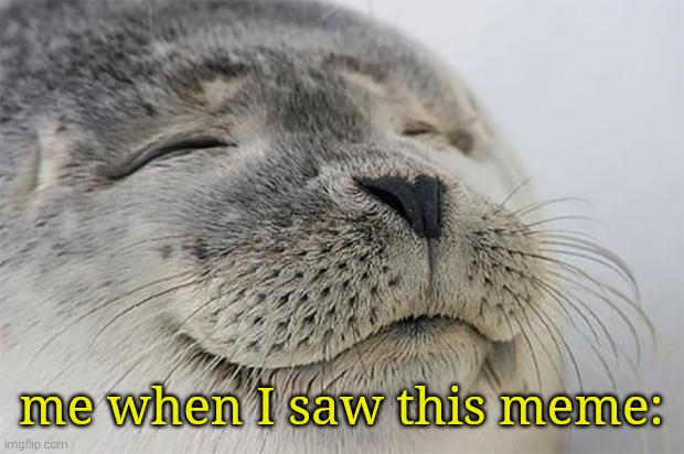 Satisfied Seal Meme | me when I saw this meme: | image tagged in memes,satisfied seal | made w/ Imgflip meme maker