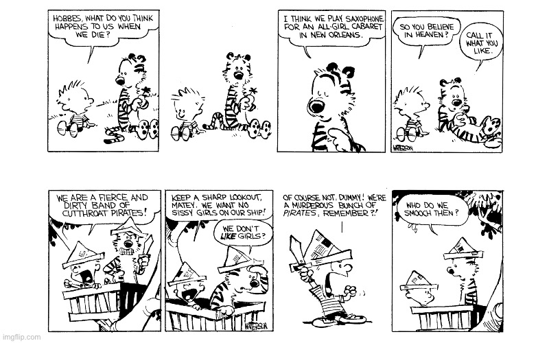 image tagged in calvin and hobbes,comics | made w/ Imgflip meme maker