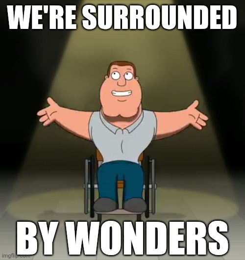 WE'RE SURROUNDED; BY WONDERS | image tagged in family guy,joe swanson,i wonder,memes | made w/ Imgflip meme maker