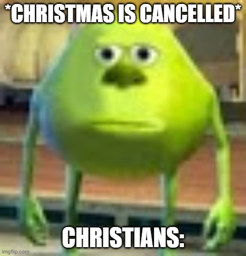 Sully Wazowski | *CHRISTMAS IS CANCELLED*; CHRISTIANS: | image tagged in sully wazowski | made w/ Imgflip meme maker