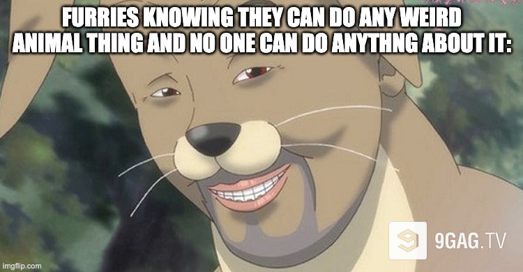 No one can comment on furry these days without actually getting backlashed | FURRIES KNOWING THEY CAN DO ANY WEIRD ANIMAL THING AND NO ONE CAN DO ANYTHNG ABOUT IT: | image tagged in weird anime hentai furry | made w/ Imgflip meme maker