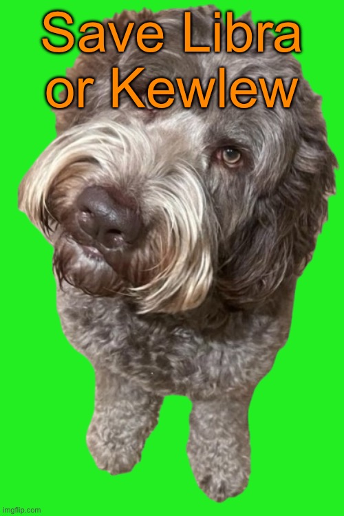 Northers Dog (Transparent) | Save Libra or Kewlew | image tagged in northers dog transparent,voting game s14 | made w/ Imgflip meme maker