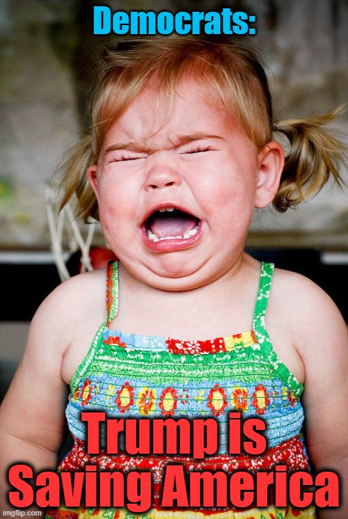 Democrats throwing temper tantrum over Trump SAVING AMERICA! | Democrats:; Trump is Saving America | image tagged in girl toddler crying bawling,democrats | made w/ Imgflip meme maker