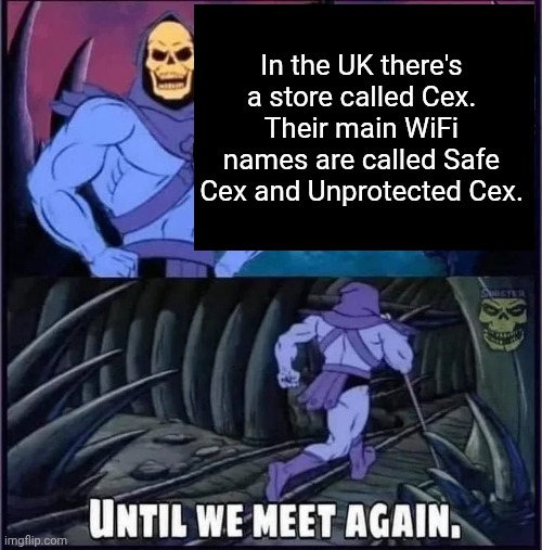 Until we meet again | In the UK there's a store called Cex. Their main WiFi names are called Safe Cex and Unprotected Cex. | image tagged in until we meet again | made w/ Imgflip meme maker