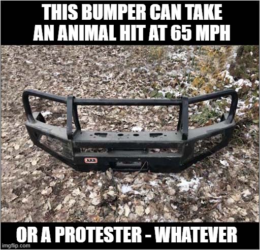 A Useful Accessory To Have | THIS BUMPER CAN TAKE AN ANIMAL HIT AT 65 MPH; OR A PROTESTER - WHATEVER | image tagged in bull bar,bumper,useful,accessory | made w/ Imgflip meme maker