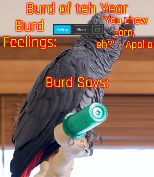 Burd of teh Year's Announcement Template Blank Meme Template