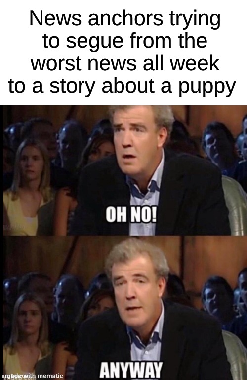 News anchors trying to segue from the worst news all week to a story about a puppy | image tagged in blank white template,oh no anyway,news,puppies,bad news,cute puppies | made w/ Imgflip meme maker