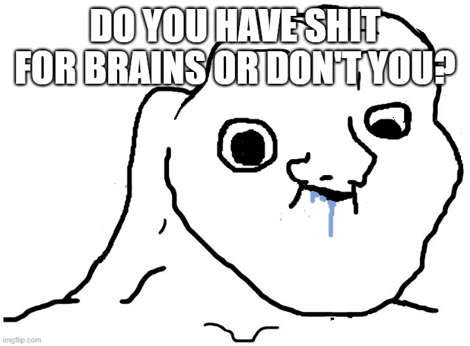 Do you have brains? | DO YOU HAVE SHIT FOR BRAINS OR DON'T YOU? | image tagged in brainlet stupid | made w/ Imgflip meme maker