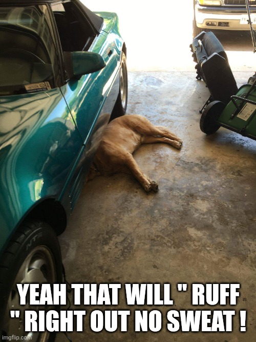 Dog Mechanic | YEAH THAT WILL " RUFF " RIGHT OUT NO SWEAT ! | image tagged in dog mechanic | made w/ Imgflip meme maker