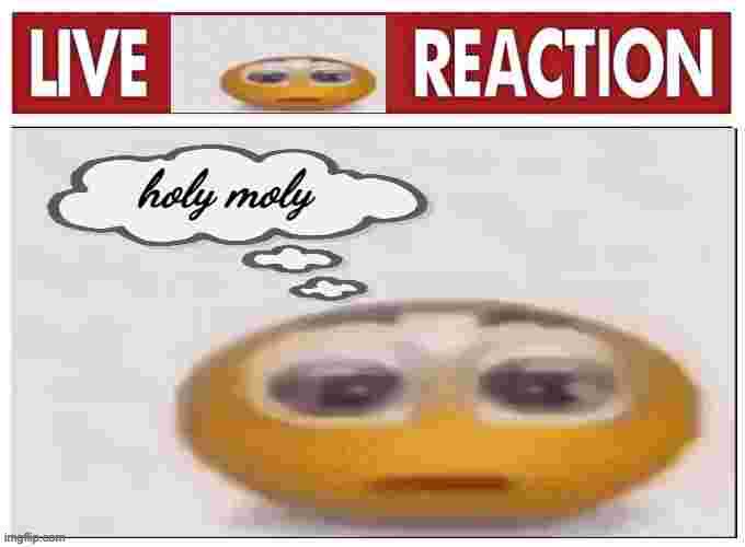 holy moly | image tagged in holy moly | made w/ Imgflip meme maker