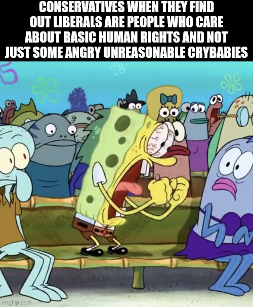 Spongebob Yelling | CONSERVATIVES WHEN THEY FIND OUT LIBERALS ARE PEOPLE WHO CARE ABOUT BASIC HUMAN RIGHTS AND NOT JUST SOME ANGRY UNREASONABLE CRYBABIES | image tagged in spongebob yelling | made w/ Imgflip meme maker