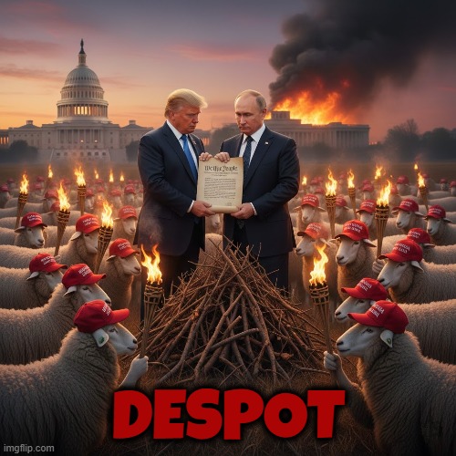 DESPOT | DESPOT | image tagged in despot,trump,putin,maga,trumputin,constitution | made w/ Imgflip meme maker