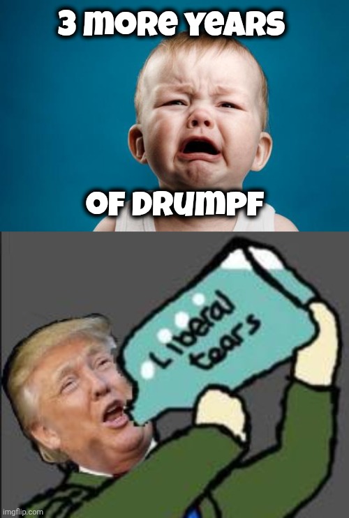 3 more years of Drumpf | image tagged in baby crying,liberal tears | made w/ Imgflip meme maker