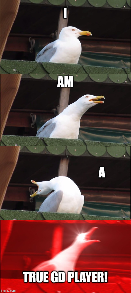 Inhaling Seagull Meme | I AM A TRUE GD PLAYER! | image tagged in memes,inhaling seagull | made w/ Imgflip meme maker