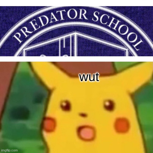 bruh what is this | wut | image tagged in memes,surprised pikachu,huh | made w/ Imgflip meme maker