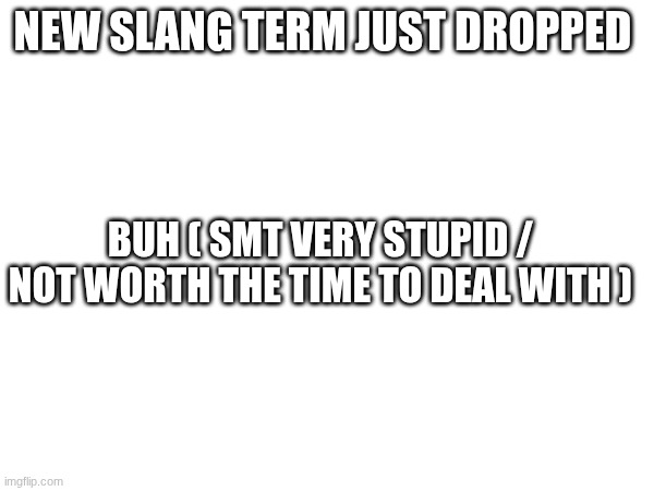 new term | NEW SLANG TERM JUST DROPPED; BUH ( SMT VERY STUPID / NOT WORTH THE TIME TO DEAL WITH ) | made w/ Imgflip meme maker