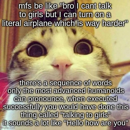 Smiling Cat | mfs be like "bro I cant talk to girls but I can turn on a literal airplane which is way harder"; there's a sequence of words only the most advanced humanoids can pronounce, when executed successfully you would have done this thing called "talking to girls" it sounds a lot like "Hello how are you" | image tagged in memes,smiling cat | made w/ Imgflip meme maker