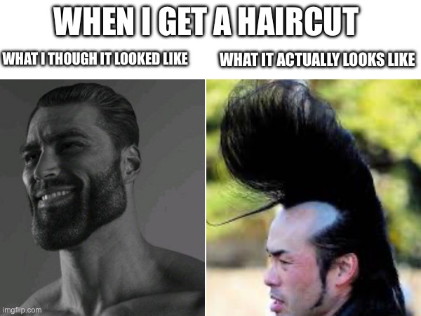 True | WHEN I GET A HAIRCUT; WHAT I THOUGH IT LOOKED LIKE; WHAT IT ACTUALLY LOOKS LIKE | image tagged in funny | made w/ Imgflip meme maker