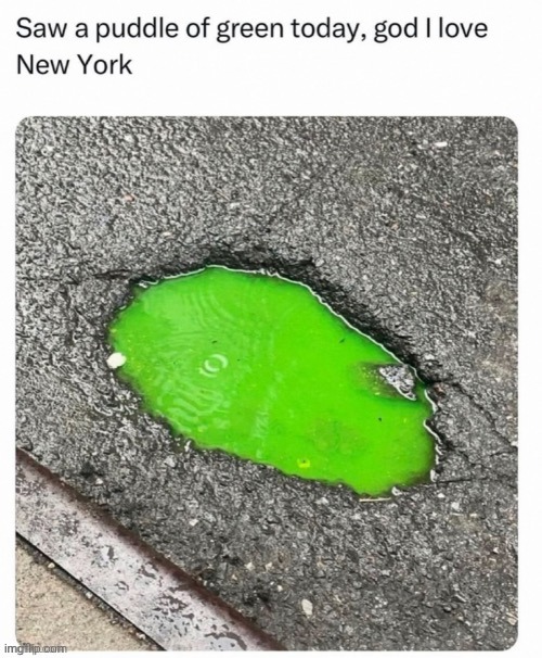 Such beauty of green | image tagged in puddle,green,memes,repost,reposts,puddles | made w/ Imgflip meme maker