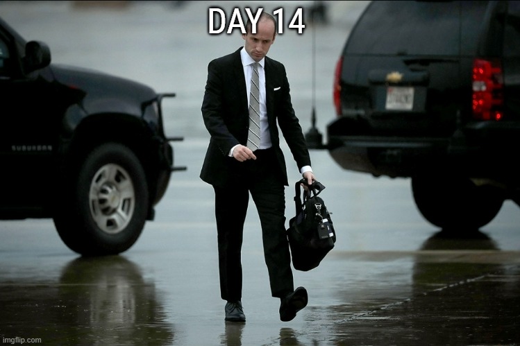 Day 14 : Second day of work | DAY 14 | made w/ Imgflip meme maker