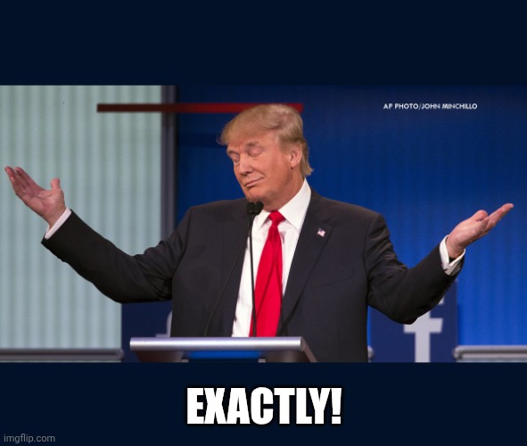 Exactly | EXACTLY! | image tagged in exactly | made w/ Imgflip meme maker