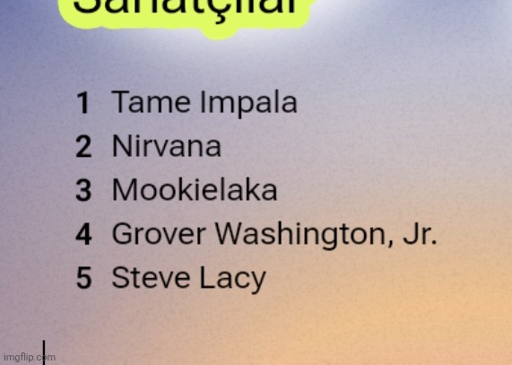 my top 5 artists in 2025 according to yt music | made w/ Imgflip meme maker