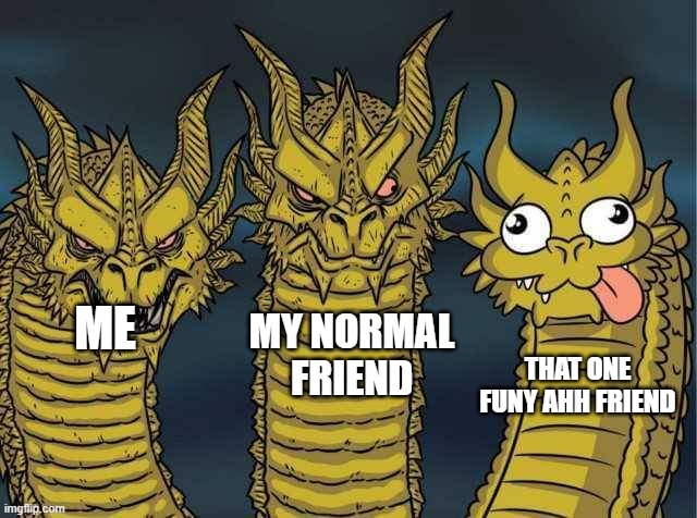 We all have that one friend | MY NORMAL FRIEND; ME; THAT ONE FUNY AHH FRIEND | image tagged in hydra | made w/ Imgflip meme maker
