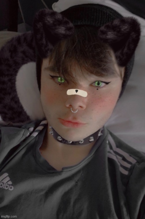 lowk forgot I had this temp | image tagged in so cutesie 2 | made w/ Imgflip meme maker