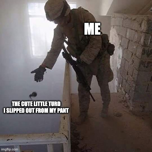upvote if you hate 67 | ME; THE CUTE LITTLE TURD I SLIPPED OUT FROM MY PANT | image tagged in grenade drop,poop | made w/ Imgflip meme maker