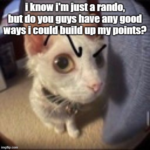 sorry to bother you guys | i know i'm just a rando, but do you guys have any good ways i could build up my points? | image tagged in side eye eyebrow raise cat | made w/ Imgflip meme maker