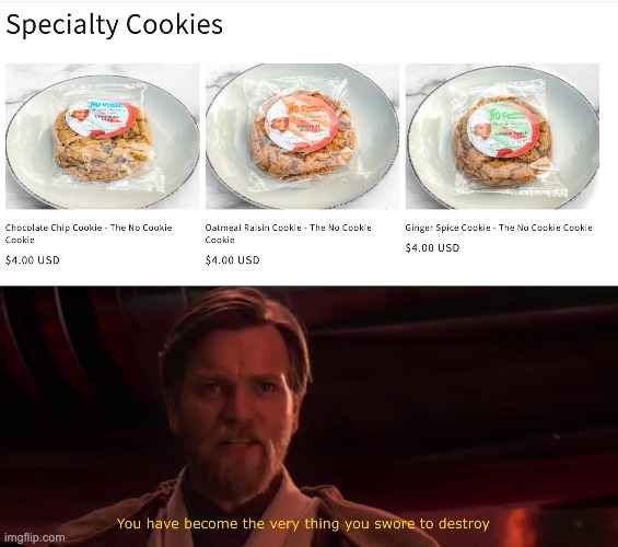 "The No Cookie Cookie" BRO WHAT DA FRIQUE HAPPENED HERE | image tagged in you have become the very thing you swore to destroy | made w/ Imgflip meme maker