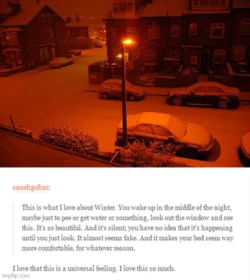 Waking up in winter | image tagged in winter,relatable,comfort | made w/ Imgflip meme maker