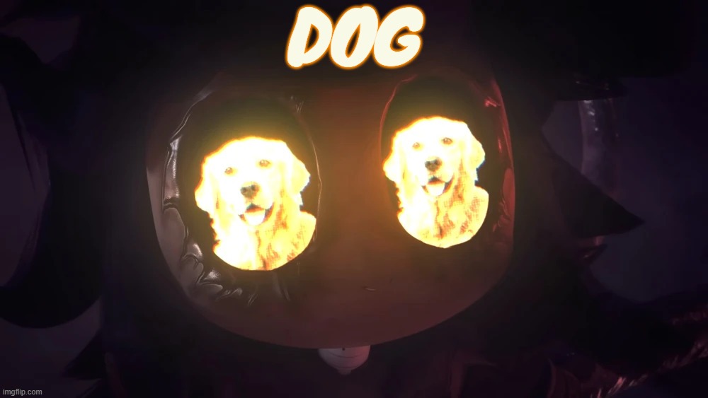 Doggy eyes :3 | DOG | image tagged in doggy eyes 3 | made w/ Imgflip meme maker