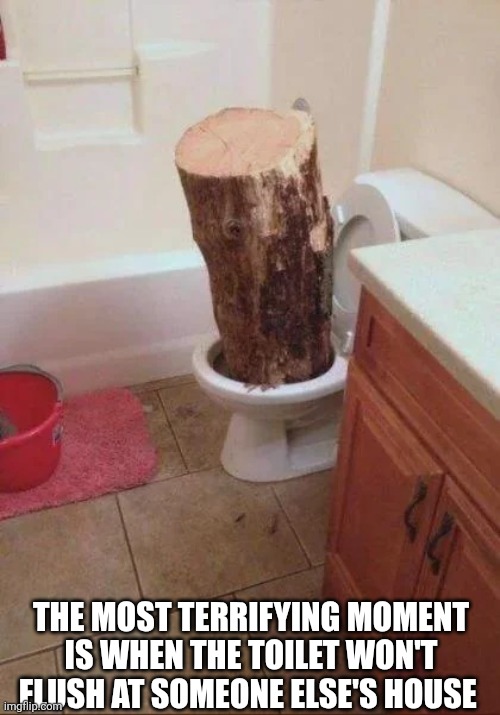 The Most Terrifying Moment | THE MOST TERRIFYING MOMENT IS WHEN THE TOILET WON'T FLUSH AT SOMEONE ELSE'S HOUSE | image tagged in chrisjoines1 | made w/ Imgflip meme maker