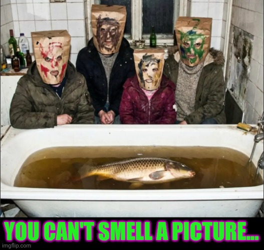 YOU CAN'T SMELL A PICTURE... | image tagged in smell,smelly,stinky,fish,food | made w/ Imgflip meme maker