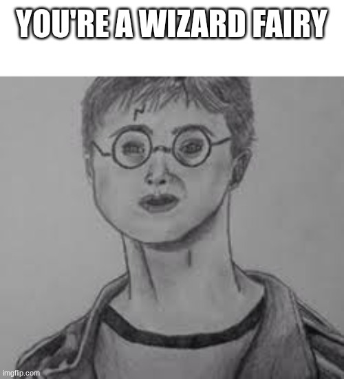 dumb harry potter | YOU'RE A WIZARD FAIRY | image tagged in dumb harry potter,harry potter,weed,drawing | made w/ Imgflip meme maker