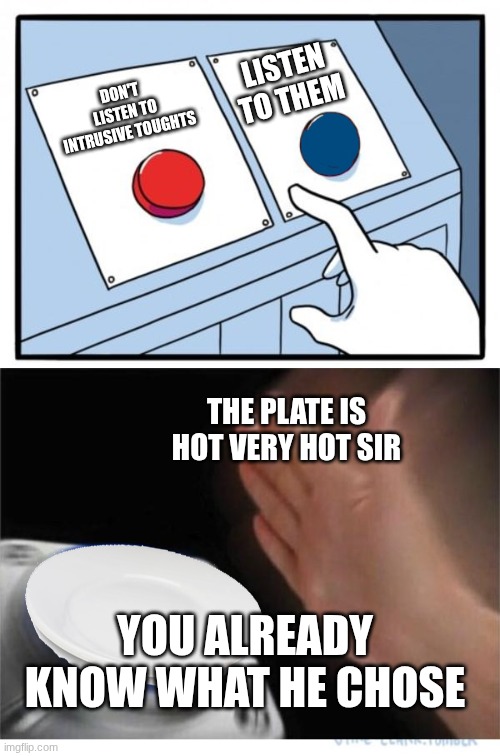two buttons 1 blue | LISTEN TO THEM; DON'T  LISTEN TO INTRUSIVE TOUGHTS; THE PLATE IS HOT VERY HOT SIR; YOU ALREADY KNOW WHAT HE CHOSE | image tagged in two buttons 1 blue | made w/ Imgflip meme maker