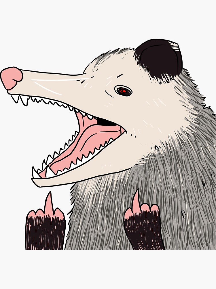 Flippin possum Blank Meme Template