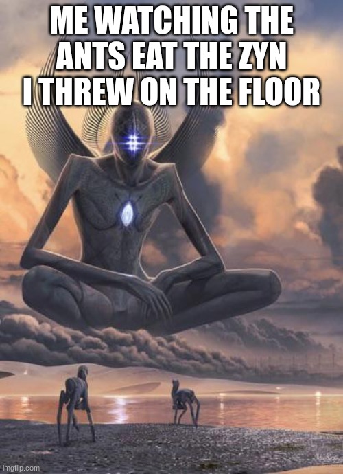 Ants Zyn | ME WATCHING THE ANTS EAT THE ZYN I THREW ON THE FLOOR | image tagged in alien god,crazy,funny,nice,memes,funny memes | made w/ Imgflip meme maker