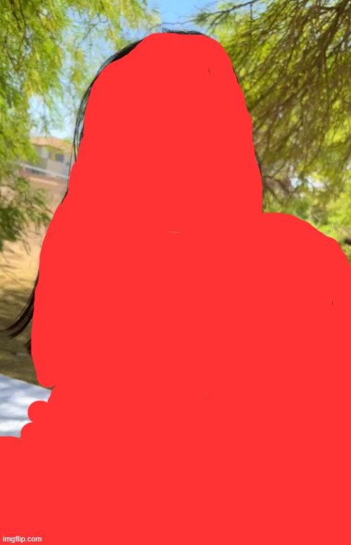 Face reveal (Censored for privacy) | image tagged in satire | made w/ Imgflip meme maker