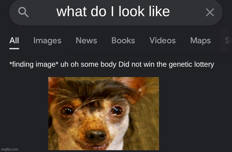 Fake search | what do I look like; *finding image* uh oh some body Did not win the genetic lottery | image tagged in fake search | made w/ Imgflip meme maker