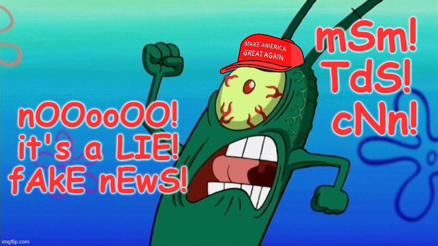 SpongeBob Angry Plankton | nOOooOO!
it's a LIE!
fAkE nEwS! mSm! 
TdS! 
cNn! | image tagged in spongebob angry plankton | made w/ Imgflip meme maker