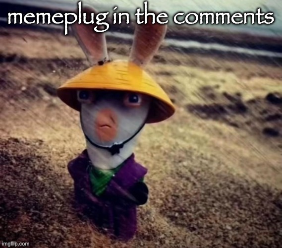 sensei rabbid | memeplug in the comments | image tagged in sensei rabbid | made w/ Imgflip meme maker