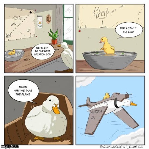 Airbirdplane | image tagged in airplane,birds,bird,plane,comics/cartoons,comics | made w/ Imgflip meme maker