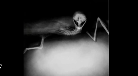 flesh bed Blank Meme Template