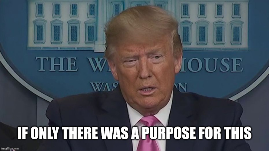 If Only You Knew How Bad Things Really Are | IF ONLY THERE WAS A PURPOSE FOR THIS | image tagged in if only you knew how bad things really are | made w/ Imgflip meme maker