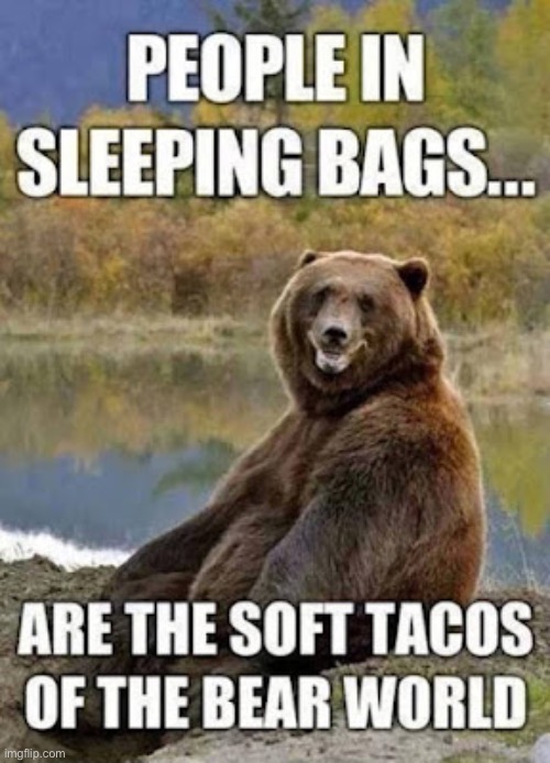Bear snacks… | image tagged in repost,bear,people in sleeping bags,soft tacos | made w/ Imgflip meme maker