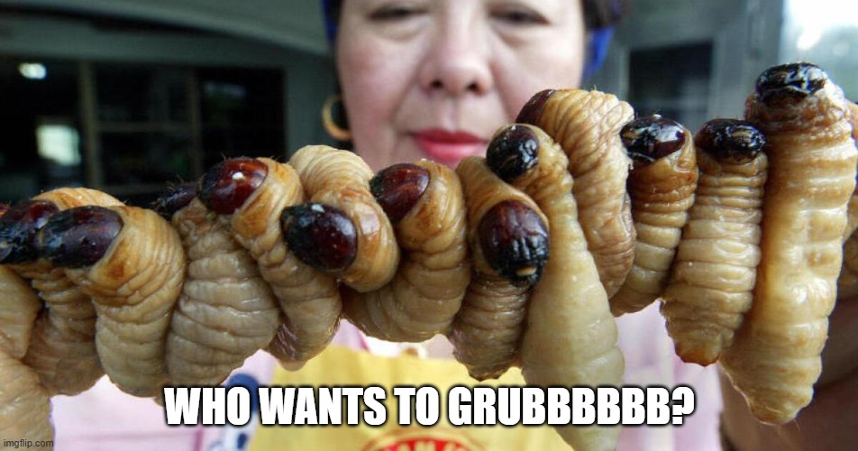 Let's Grub | WHO WANTS TO GRUBBBBBB? | image tagged in food,insects | made w/ Imgflip meme maker