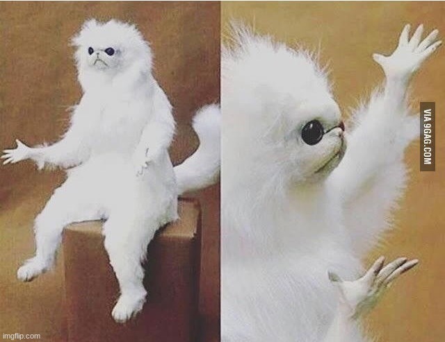 image tagged in confused white monkey | made w/ Imgflip meme maker